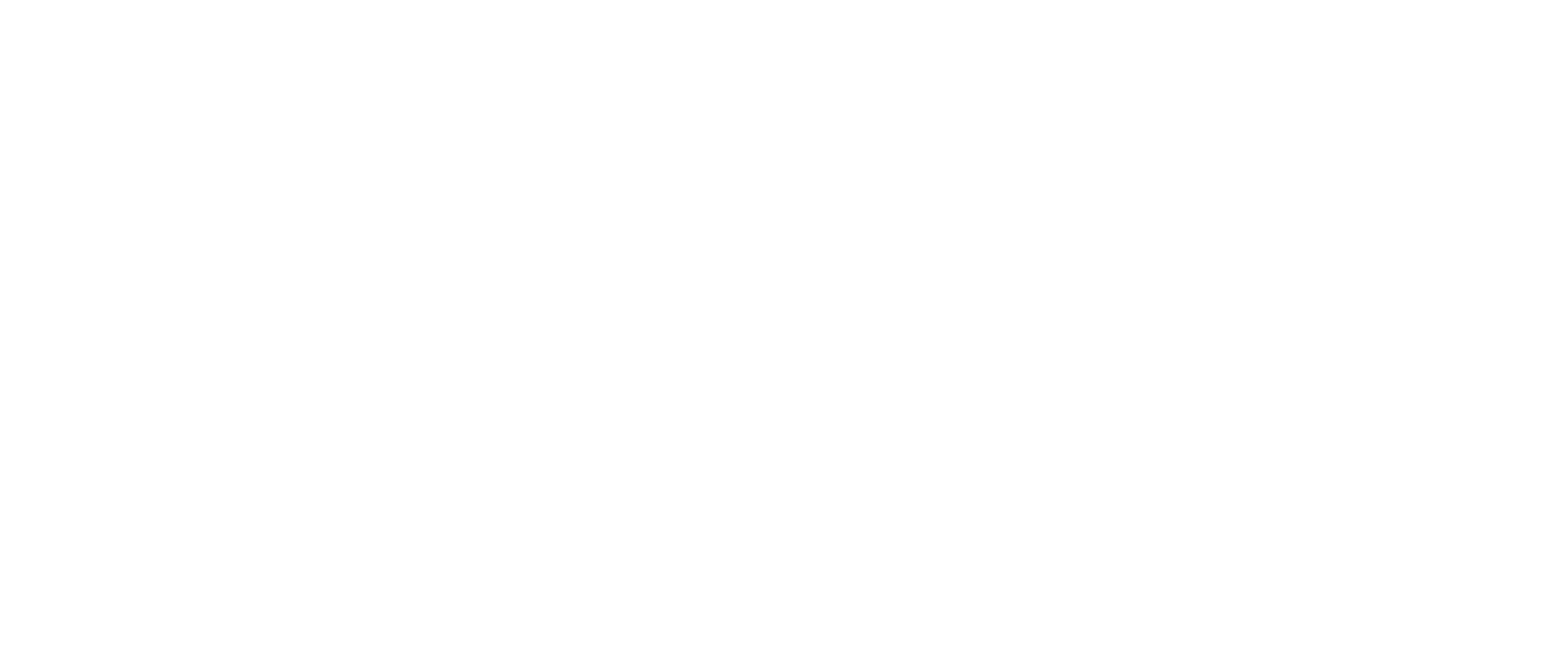 Smart Ventures